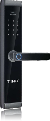 T8