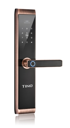 T8