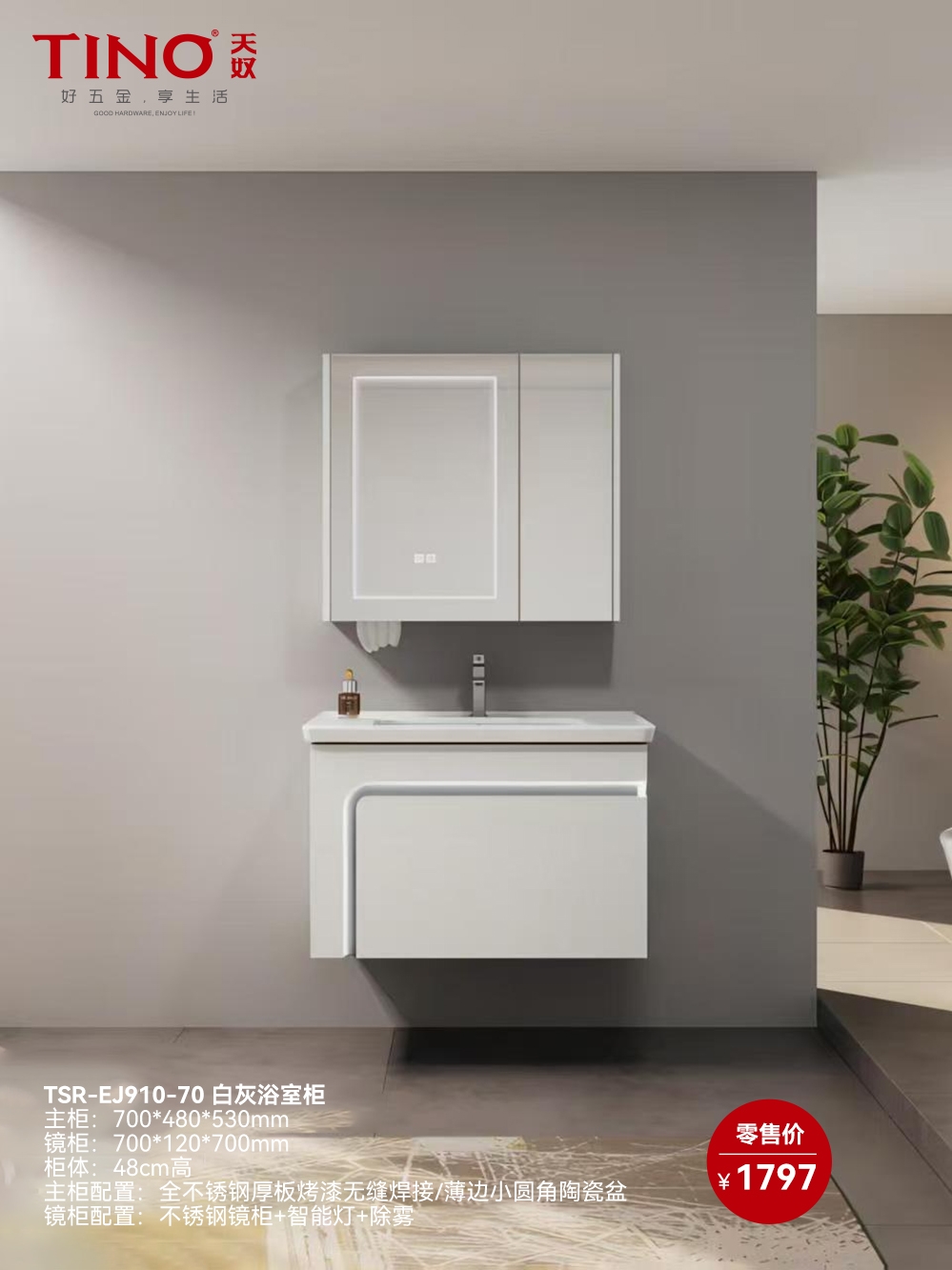 TSR-EJ910-70 白灰浴室柜