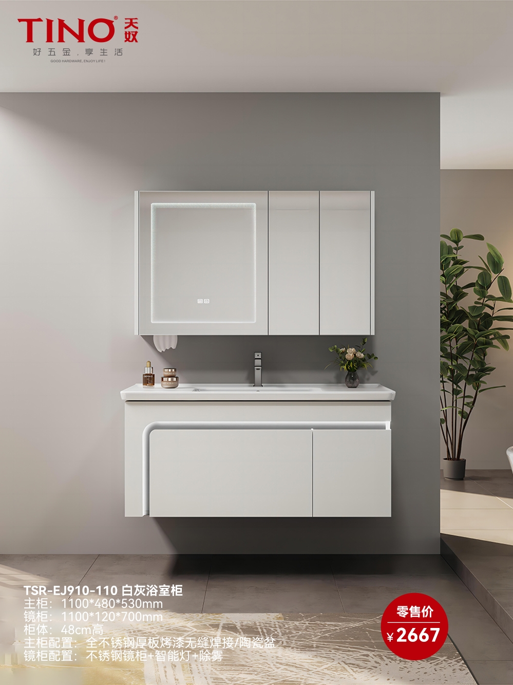 TSR-EJ910-110 白灰浴室柜 